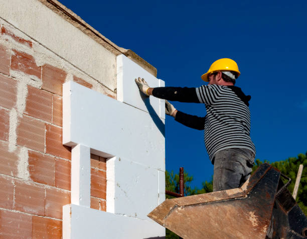 Best Insulation Installation Services in Nellieburg, MS