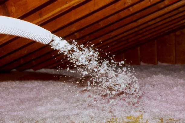 Best Insulation Maintenance and Repair in Nellieburg, MS
