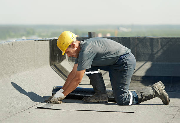 Best Commercial Insulation in Nellieburg, MS