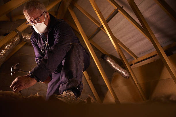 Best Commercial Insulation in Nellieburg, MS