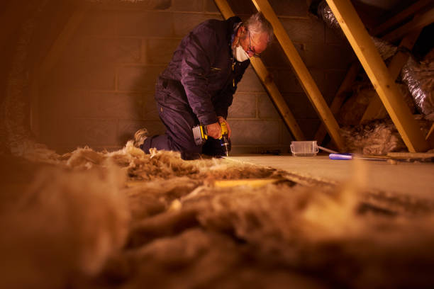 Best Insulation Installation Services in Nellieburg, MS